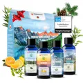 Produktbild: Veddelholzer BIO Saunaaufguss aus 100% naturreinen ätherischen Ölen 4 x 100 ml verschiedene Saunaöle Saunaduft Sauna Zubehör als Geschenkset alles in einem Set