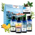 Produktbild: Veddelholzer Sauna-Aufgussset BIO Saunaaufguss Geschenkset Saunazubehör Aufgussmittel (4 x 100 ml verschiedene Saunaöle, 4-tlg., 100% naturreinen ätherischen Ölen) Bio Qualität als Geschenkset
