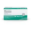 Produktbild: Mucosa Compositum ad us.vet.Ampullen 50X5 ml