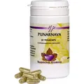 Produktbild: Holisan - Punarnava Kapseln - 60 Stück