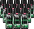 Produktbild: Axe Premium Bodyspray Emerald Geranium Deo ohne Aluminiumsalze mit 72 Stunden Schutz gegen Körpergeruch 150 ml 12 Stück