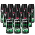Produktbild: Axe Premium Bodyspray Emerald Geranium Deo ohne Aluminiumsalze mit 72 Stunden Schutz gegen Körpergeruch 150 ml 12 Stück