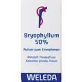 Produktbild: Bryophyllum 50% Pulver zum Einnehmen 20 g