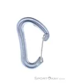 Produktbild: Edelrid Nineteen G Schnappkarabiner-Silber-One Size