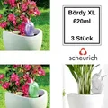 Produktbild: Scheurich - 3x Bewässerungssystem Bördy Xl 3er Set Transparent/lila/grün 620 Ml Wasserspender Bördy Xl 620 Ml