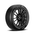 Produktbild: Winterreifen 255/35 R19 96V Pirelli PZero Winter 2 XL M+S