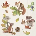 Produktbild: 20 Servietten Fall Squirrel Eichhörnchen Tiere Blätter Pilze Zapfen Wald 33x33cm