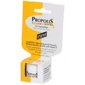 Produktbild: Propolis Lippenbalsam