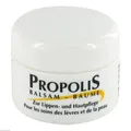 Produktbild: 2x PROPOLIS LIPPENBALSAM 5 ML