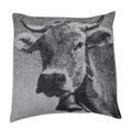 Produktbild: David Fussenegger Kissenhülle Silvretta 'Kuh fotoreal' 50/50 Grau - 8123/97