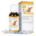 Produktbild: Alfavet RodiCare akut Ergänzungsfuttermittel zur Regulierung von Verdauungsvorgängen für Kaninchen, Meerschweinchen und Kleinnager, 15ml Glasflasche mit Dosierspritze