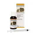 Produktbild: Alfavet RodiCare akut 15 ml | Verdauung bei Nagern mit Kräutern