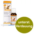 Produktbild: Alfavet RodiCare Akut 15ml Regul. Verdauung Kaninchen Kleinnager (1233,33 EUR/l)