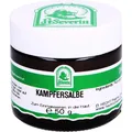 Produktbild: KAMPFERSALBE 50 g