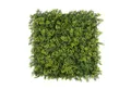 Produktbild: Kunstpflanze Pflanzenwand, 50x50cm Moos oder Ilex, Primaflor-Ideen in Textil, Höhe 50 cm, Wanddeko, realistische Optik, In- und Outdoor geeignet, UV-beständig