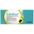 Produktbild: 12 Canikur Kautabletten