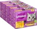 Produktbild: Whiskas 1+ Katzenfutter Nassfutter Geflügel Auswahl in Sauce 4er Pack 48 x 85g