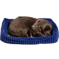 Produktbild: Perfect Petzzz Chocolate Labrador 96231 - Braun