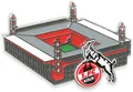 Produktbild: 1. FC Köln Anstecknadel Pin Stadion