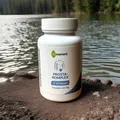 Produktbild: Prosta Komplex 60 Kapseln vitamoment Unterstützung b.Beschwerden m.der Prostata