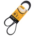 Produktbild: CONTITECH 5PK1300 Keilriemen