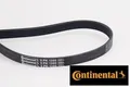 Produktbild: Continental CTAM 5PK1300 Keilrippenriemen Keilriemen