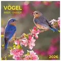 Produktbild: Heimische Vögel 2026
