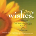 Produktbild: Various - Walt Disney Presents: Wishes - Various CD LCVG The Cheap Fast Free
