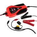 Produktbild: JMP Skan 1.0 Universelles Ladegerät für Autobatterien und Lithiumakkus RGV SV Mi