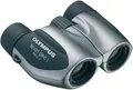 Produktbild: Olympus 10x21 DPC-I Fernglas Silber mit Tasche, 118706