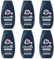 Produktbild: 6x Schauma Pflege Shampoo Silberglanz Anti Gelbstich für graues,blondiertes Haar