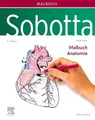 Produktbild: Sobotta Malbuch Anatomie