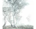 Produktbild: Fototapete Vlies R3-023 Magic Trees 3-tlg.   300 x 280 cm