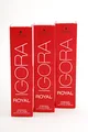 Produktbild: Schwarzkopf Igora Royal 5-4 60ml 3er Pack (3x60ml)