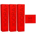 Produktbild: Schwarzkopf Igora Royal 3 x 60 ml 5-1 hellbraun asch Haarfarbe Cremefarbe Set
