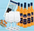 Produktbild: 6 Flaschen Behn Andalö Original Sanddornlikör 15% Vol. 0,7 Liter