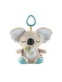 Produktbild: Fisher Price On the Go Koala
