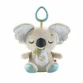 Produktbild: Fisher-Price Koala-Spieluhr für unterwegs, Plüsch-Spielzeug für Neugeborene