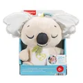 Produktbild: MATTEL® JBD65 Fisher-Price Schlummer-Koala für unterwegs, NEU & OVP
