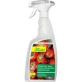 Produktbild: Manna Spray Calcium Plus