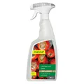 Produktbild: manna Calcium Plus Spray 500ml, mineralischer Calciumdünger für Tomaten, Blumen