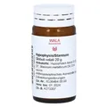 Produktbild: HYPOPHYSIS/STANNUM Globuli 20 g