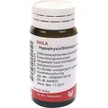 Produktbild: Hypophysis/Stannum Globuli 20 g