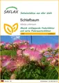 Produktbild: SAFLAX - Samen - Schlafbaum - 50 Samen