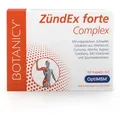 Produktbild: ZÜNDEX forte Complex – MSM Kapseln mit OptiMSM
