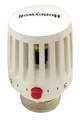 Produktbild: Honeywell Braukmann Thera 100 mit Sparknopf Thermostatkopf M30 x 1,5  T1002B3W0