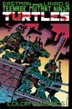 Produktbild: Teenage Mutant Ninja Turtles Color Classics, Vol. 1 (TMNT Color Classics, Band 1)