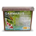 Produktbild: pondovit Gammarus (Bachflohkrebse - Premiumsnack - Koi Leckerbissen, 2.4 l