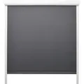 Produktbild: Sol Royal Thermorollo, Anthrazit, Kunststoff, 60x175 cm, Wohntextilien, Rollos & Jalousien, Rollos