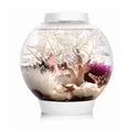 Produktbild: Oase biOrb CLASSIC 15 LED weiß Dekoration Aquarium (EEK: G, Spektrum: A - G)